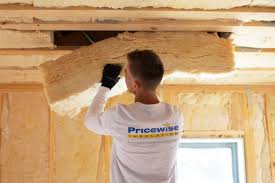 Best Eco-Friendly or Green Insulation Solutions  in Martins Additions, MD